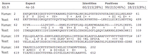 CDK2_alignment_480